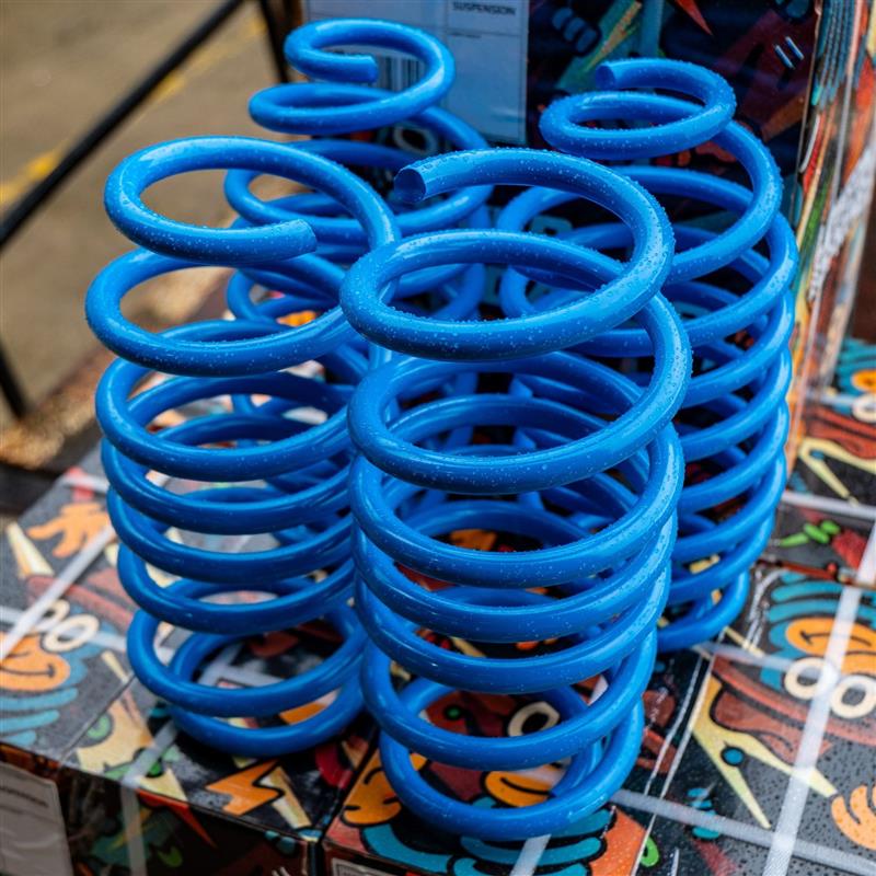 BMW 1 Series F20/F21 2011-2019 Lower Standards Lowering Springs