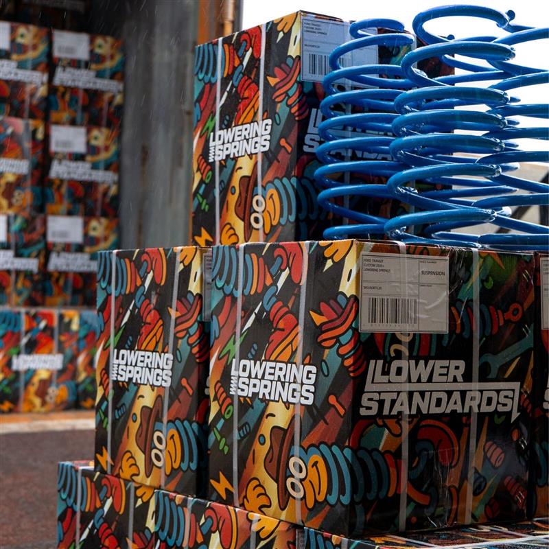 BMW 1 Series F20/F21 2011-2019 Lower Standards Lowering Springs