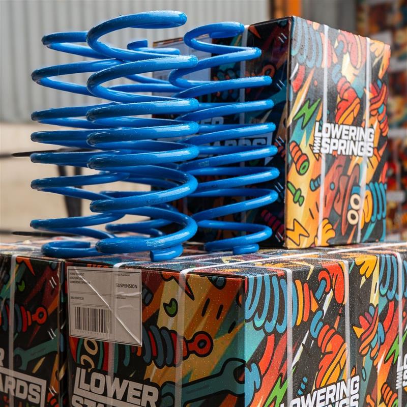 BMW 1 Series F20/F21 2011-2019 Lower Standards Lowering Springs