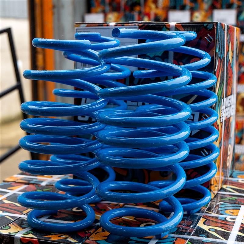 BMW 1 Series F20/F21 2011-2019 Lower Standards Lowering Springs